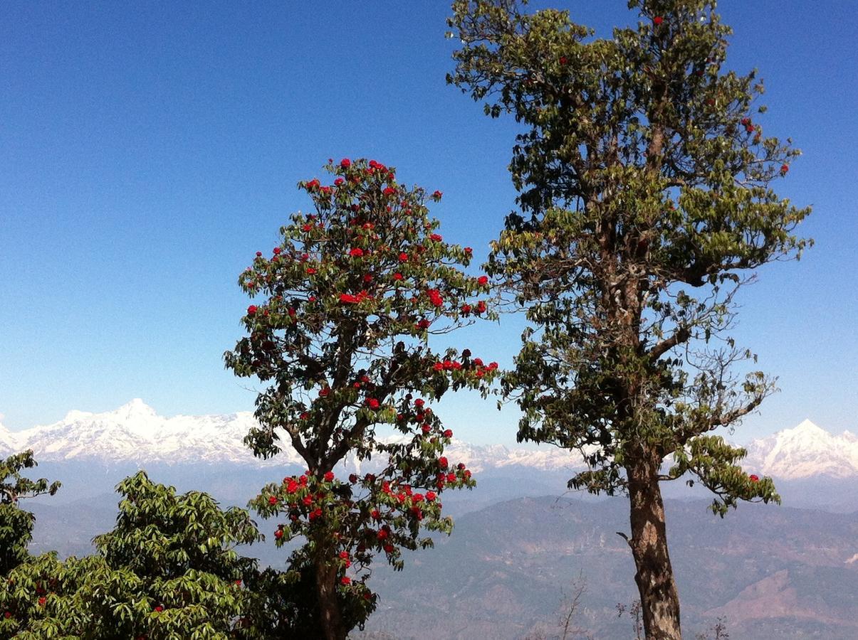 Willa Thikalna Himalayan Retreat Almora Zewnętrze zdjęcie